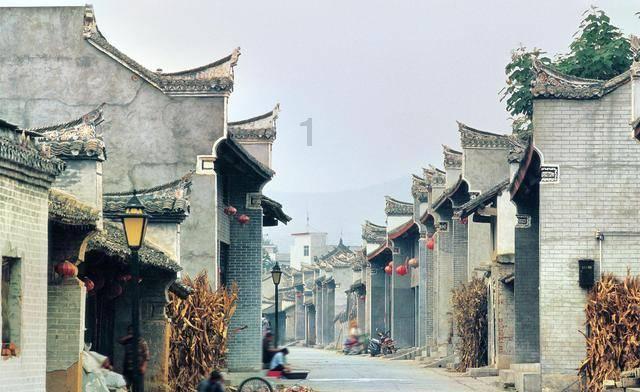 忍者鲨鱼